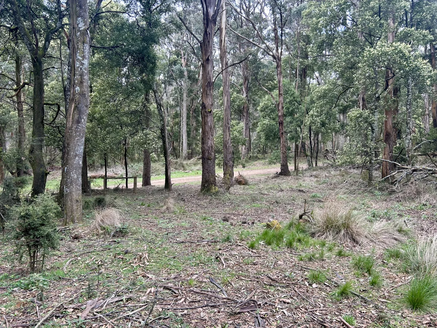 Additional image 9 of 975 Daylesford-Trentham Road, Bullarto VIC 3461