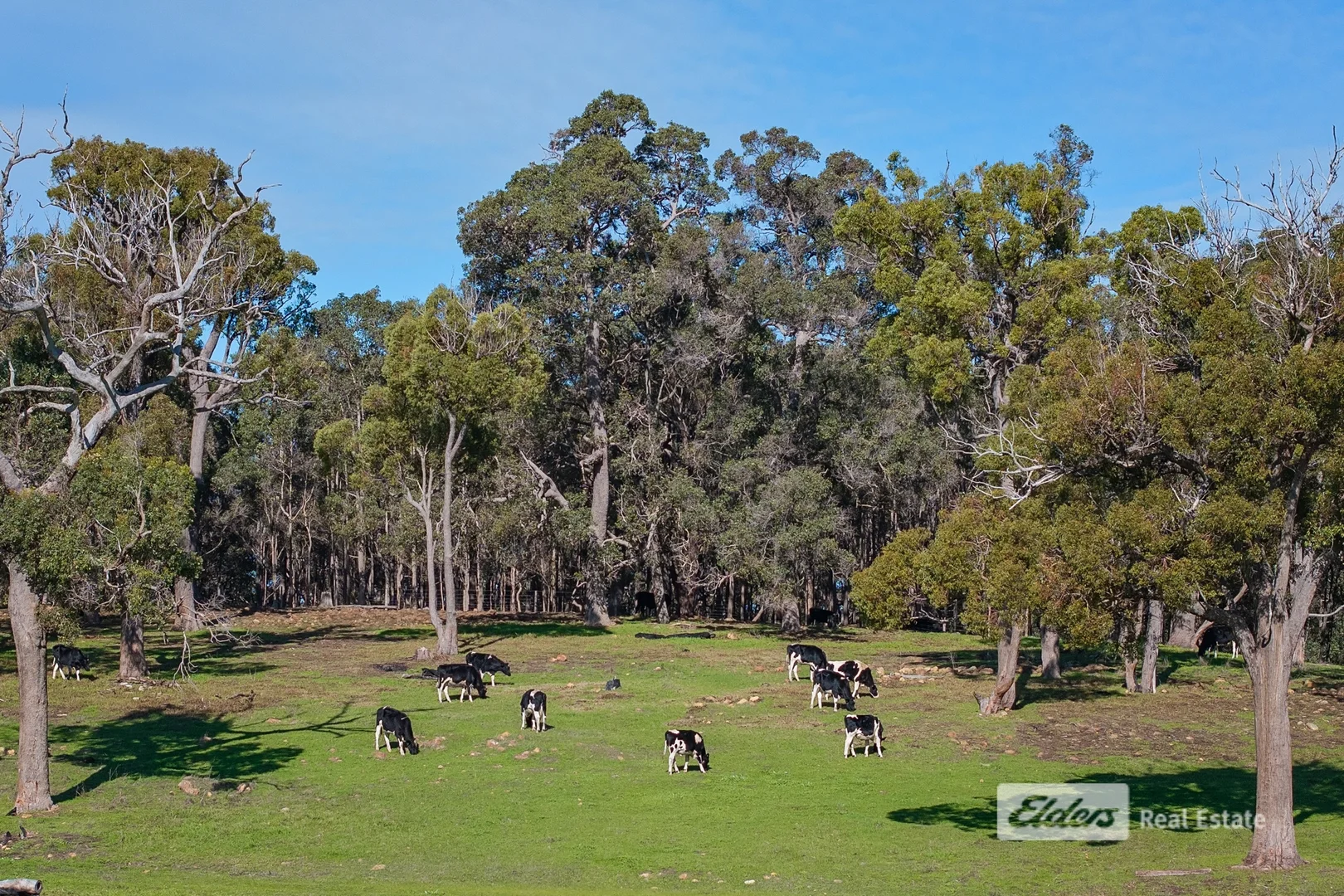 Additional image 10 of 130 | 131 Thomson Street, Donnybrook WA 6239