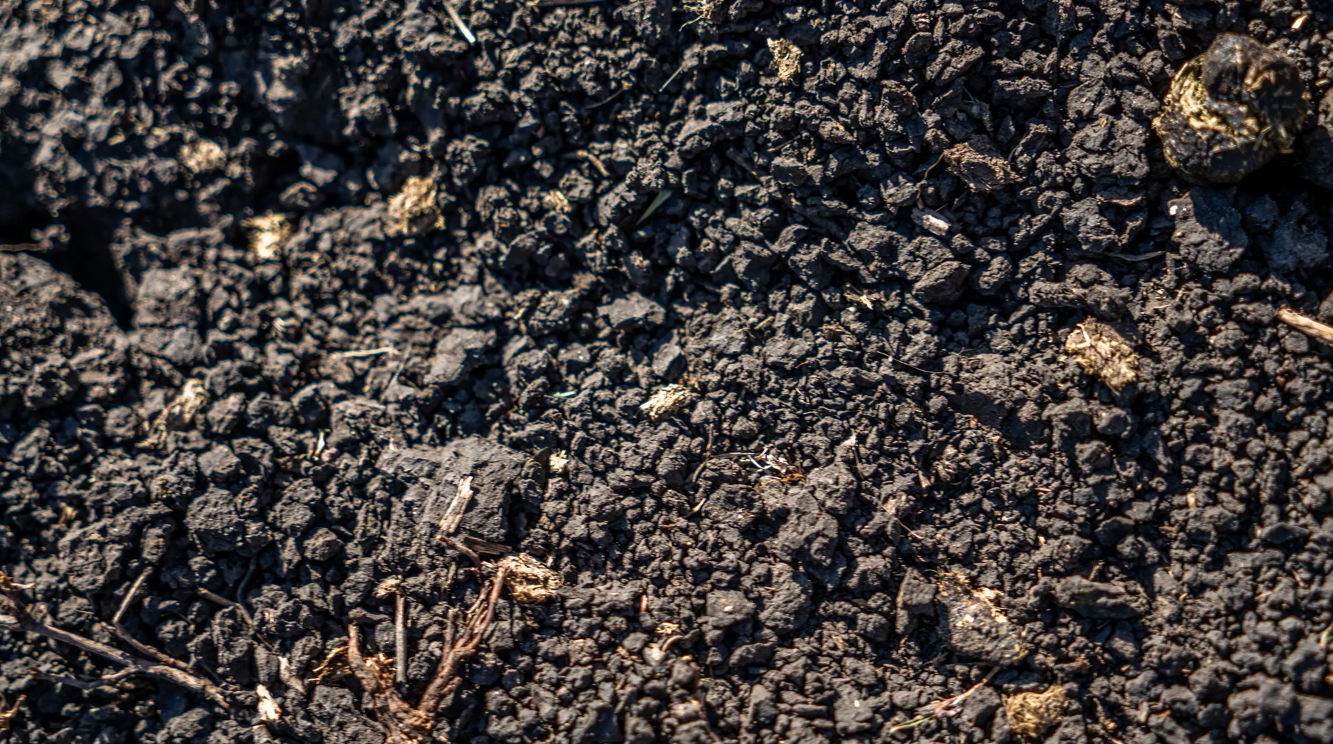 Additional image 18 of 250 Sissons Road Aberfoyle, Armidale NSW 2350