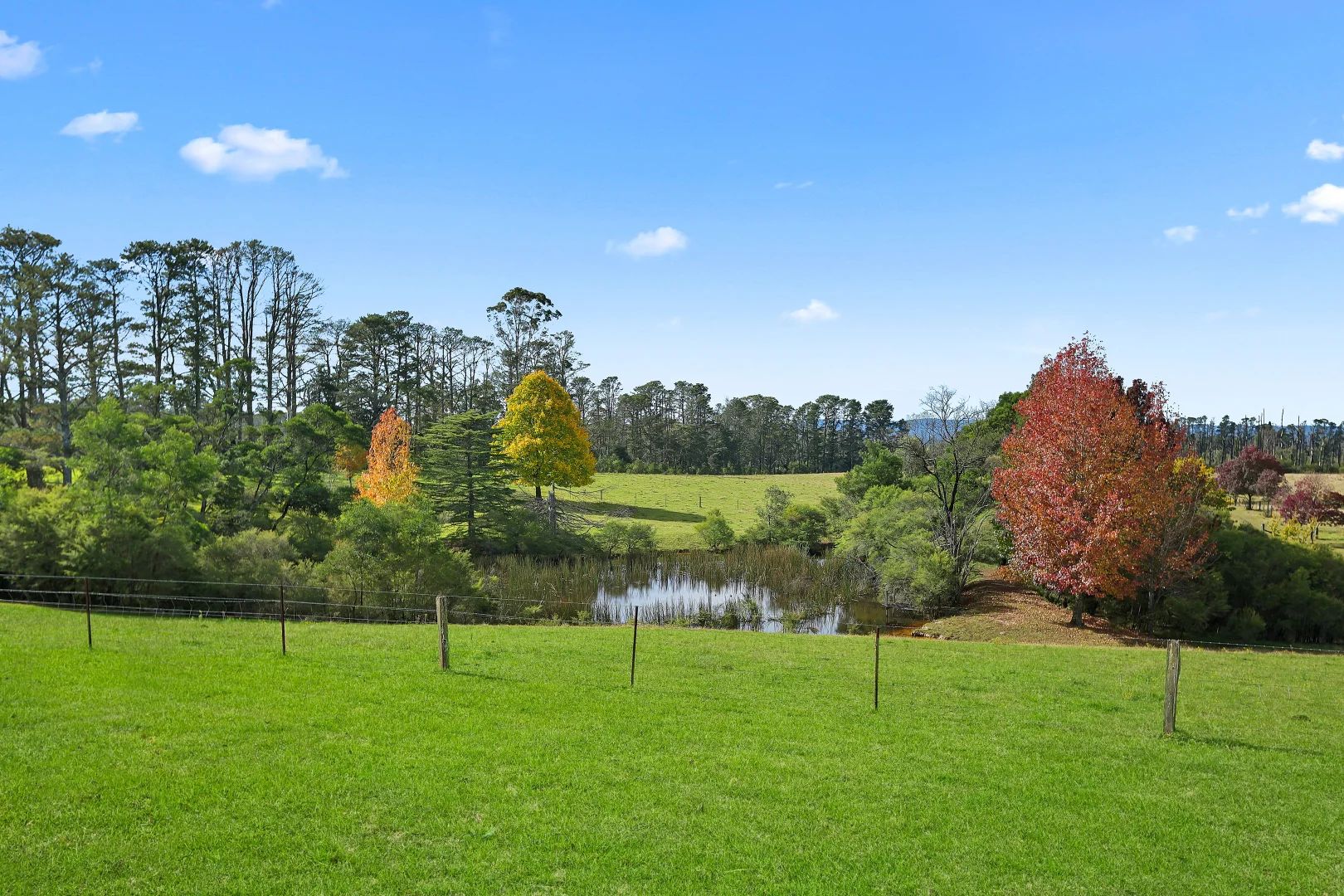 Additional image 14 of 92 Powells Road, Bilpin NSW 2758