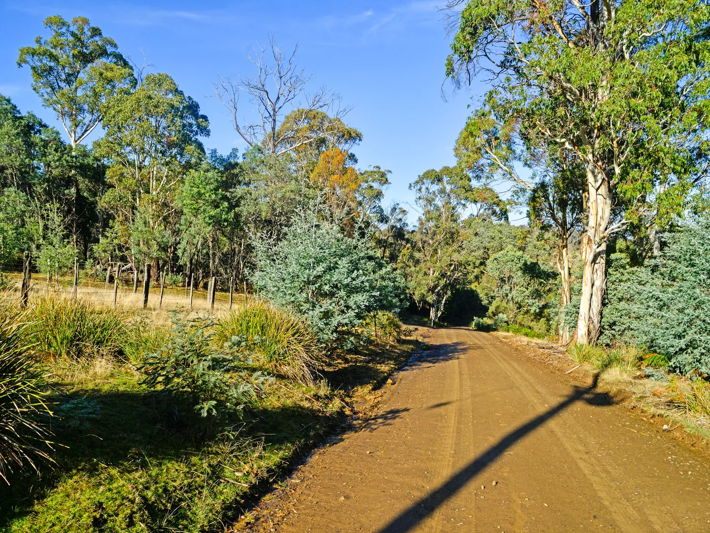 Additional image 14 of 172 Mcguires Marsh Road, Osterley TAS 7140