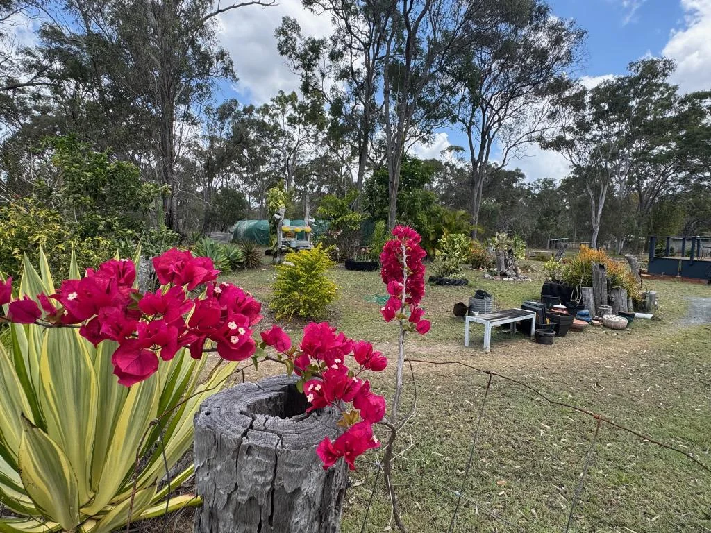 Additional image 20 of 117 Pacific Haven Cct, Pacific Haven QLD 4659