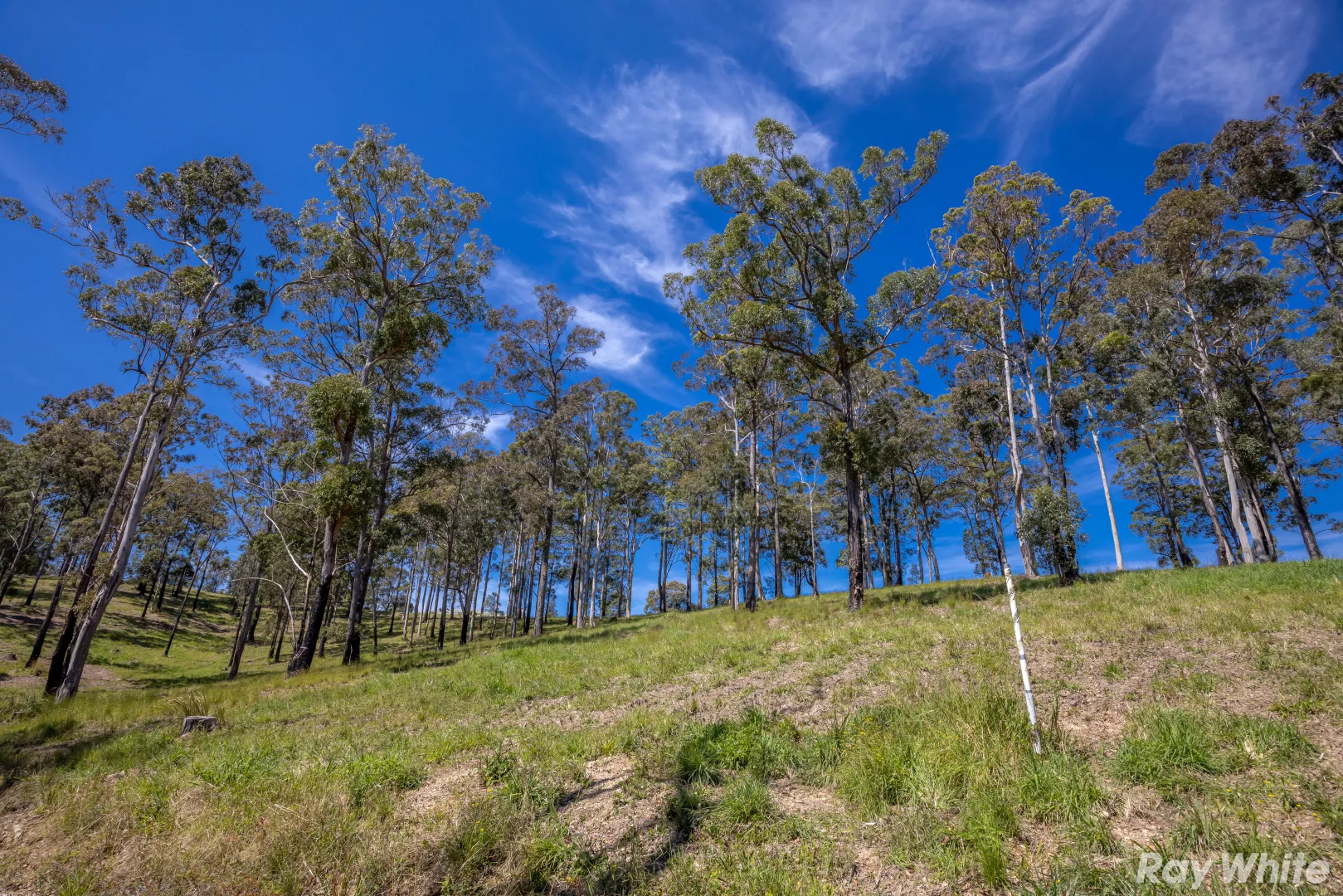 Additional image 3 of Lot 7 Tallwoods Drive 'Summerland Estate', Hallidays Point NSW 2430