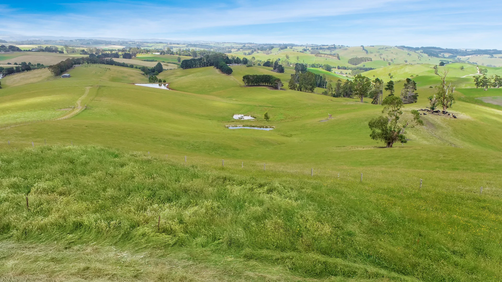 Additional image 10 of 3233 Strzelecki Highway, Mirboo North VIC 3871