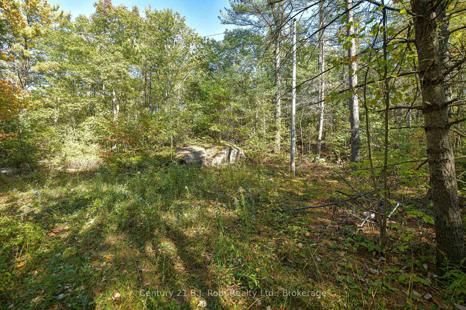 Additional image 15 of 1112 Sam Cook Road 2