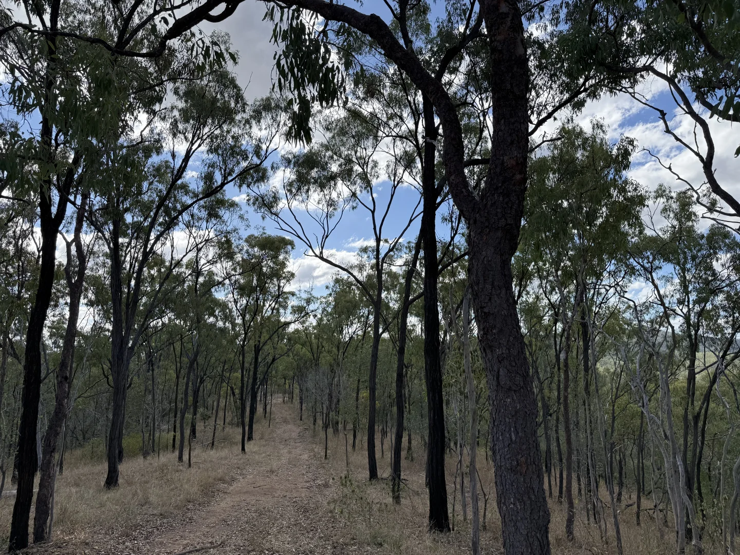 Additional image 17 of 471 Neill Creek Road, Wooderson QLD 4680