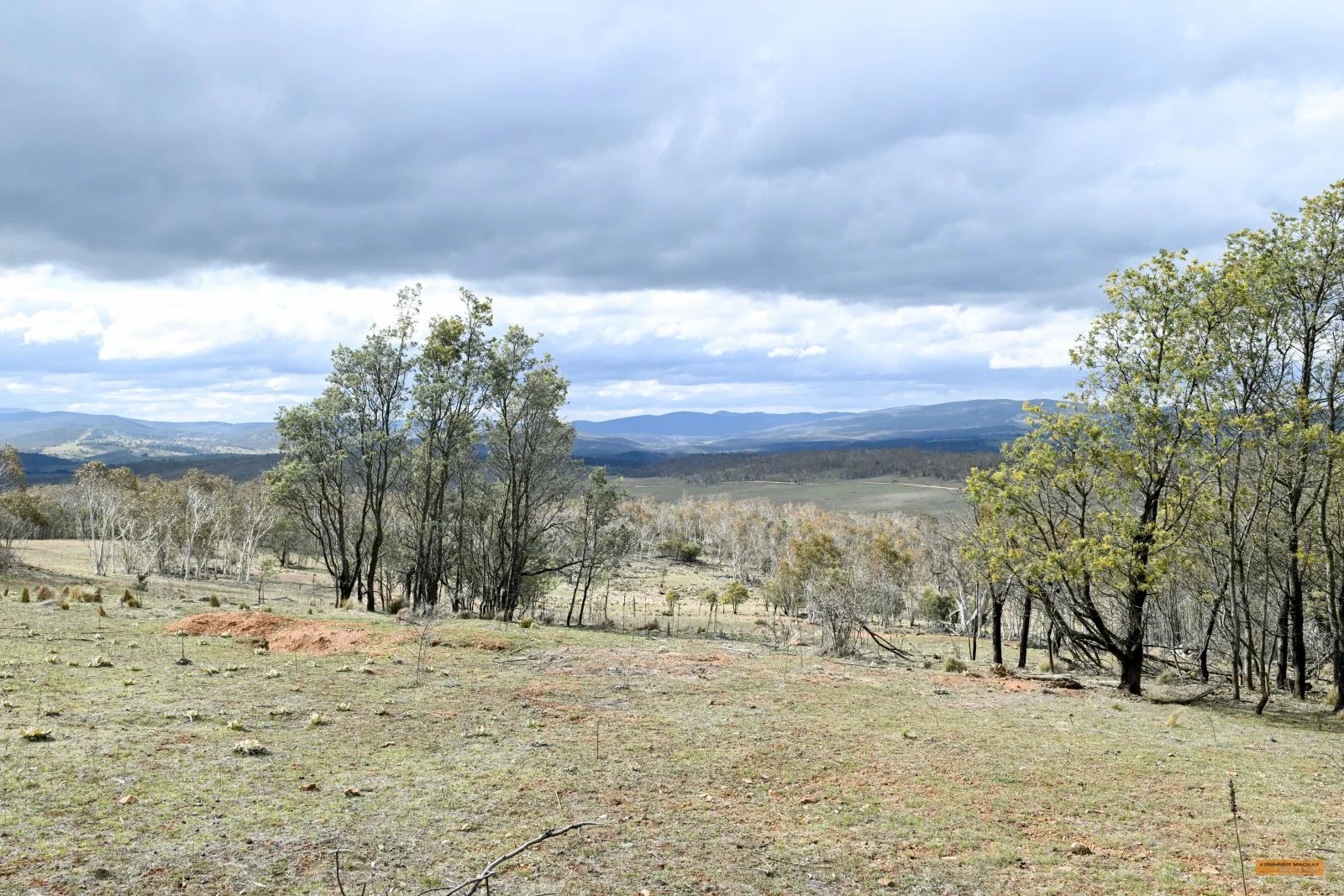 Additional image 38 of "Eagle Heights" 636 Caddigat Road, Dry Plain NSW 2630