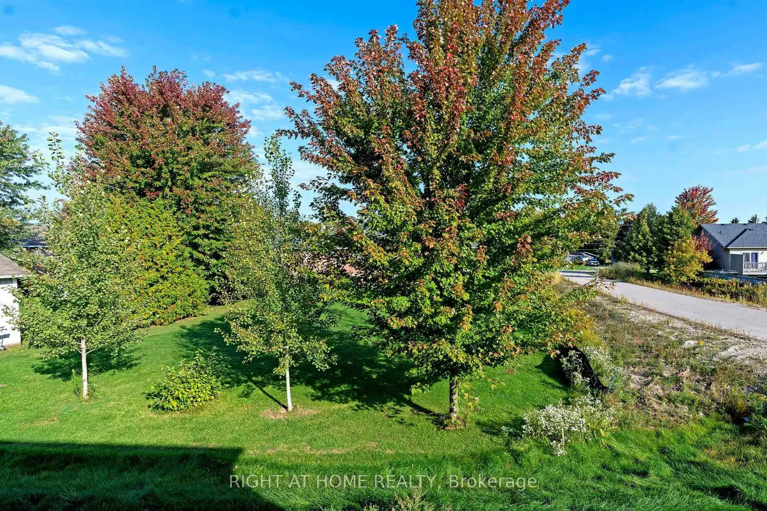 Additional image 14 of 240 Wilcox Drive