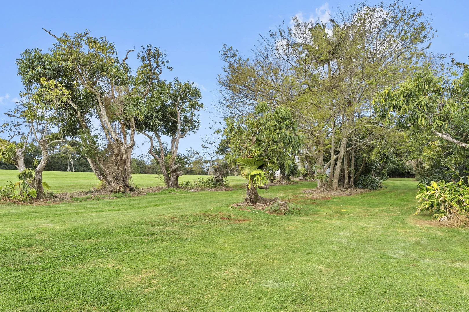 Additional image 9 of 1E Esme Street, Tamborine Mountain QLD 4272