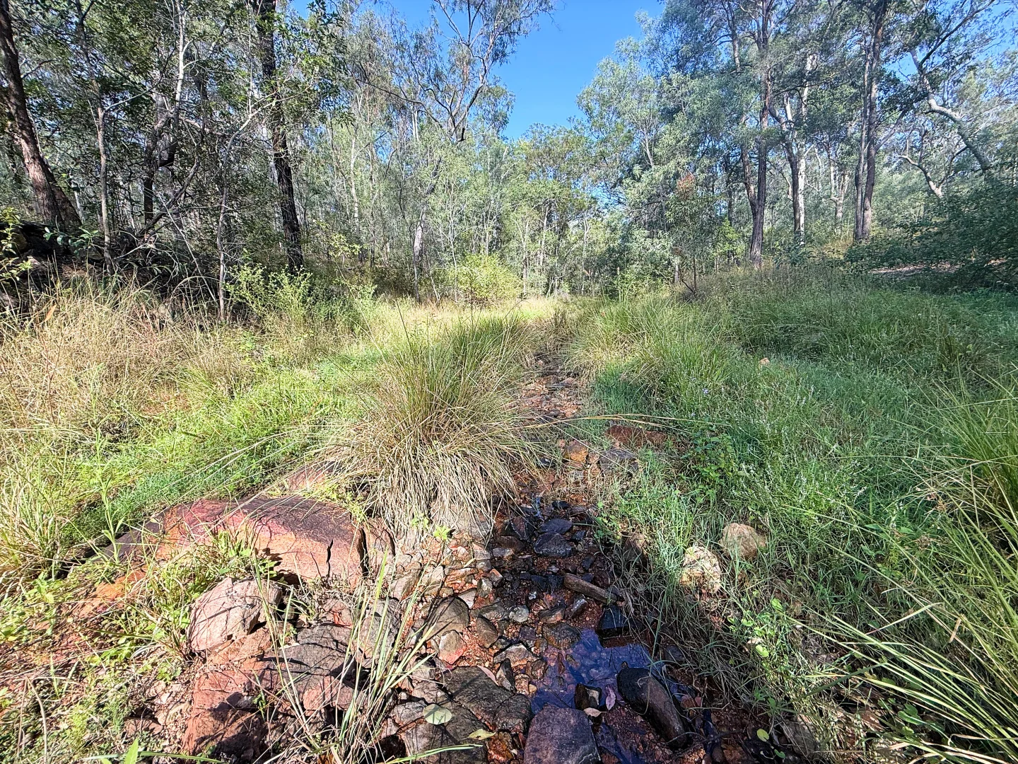 Additional image 7 of Lot 10/931 Nearum Road, Nearum QLD 4671
