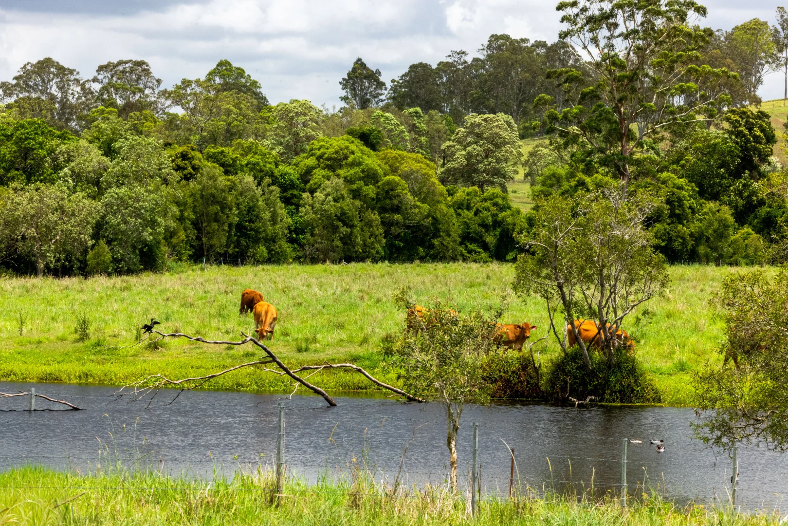 Additional image 3 of 6 Canando Street, Woodford QLD 4514