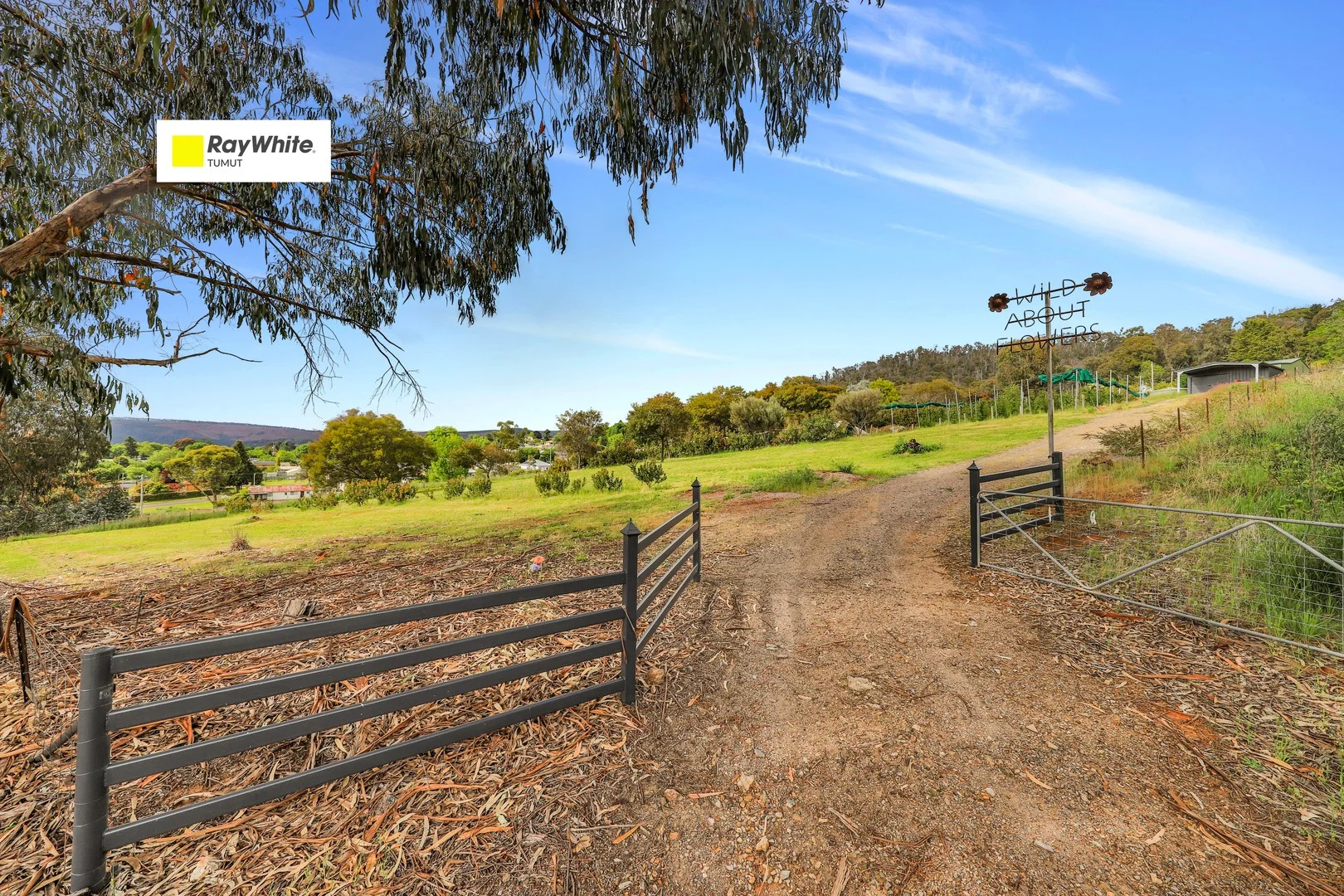 39 Mayday Road, Batlow NSW 2730