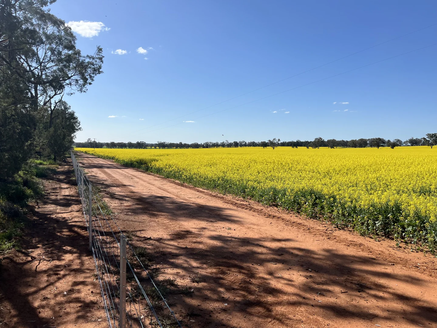 Additional image 6 of 2 Coolamon Road, Coolamon NSW 2701