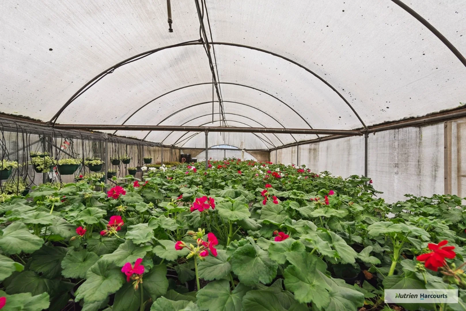 Additional image 15 of 5A Rail Street, Wandong VIC 3758