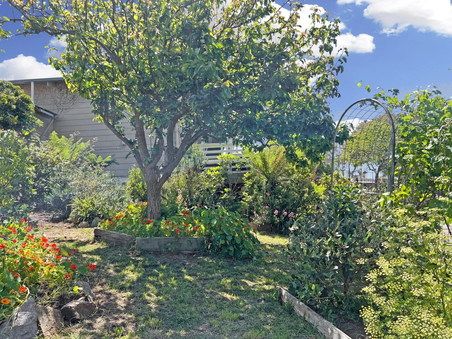 Additional image 41 of 13 Hodge Court, Stieglitz TAS 7216