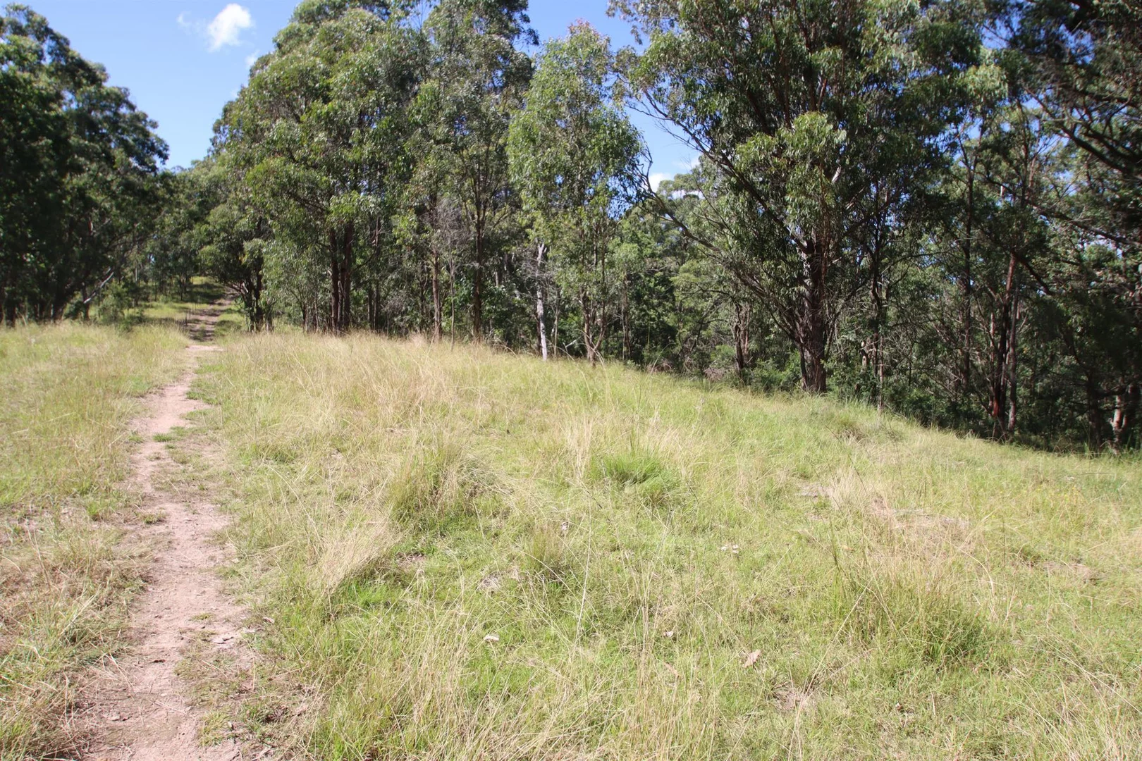 Additional image 16 of 1465 Billirimba Road, Tenterfield NSW 2372