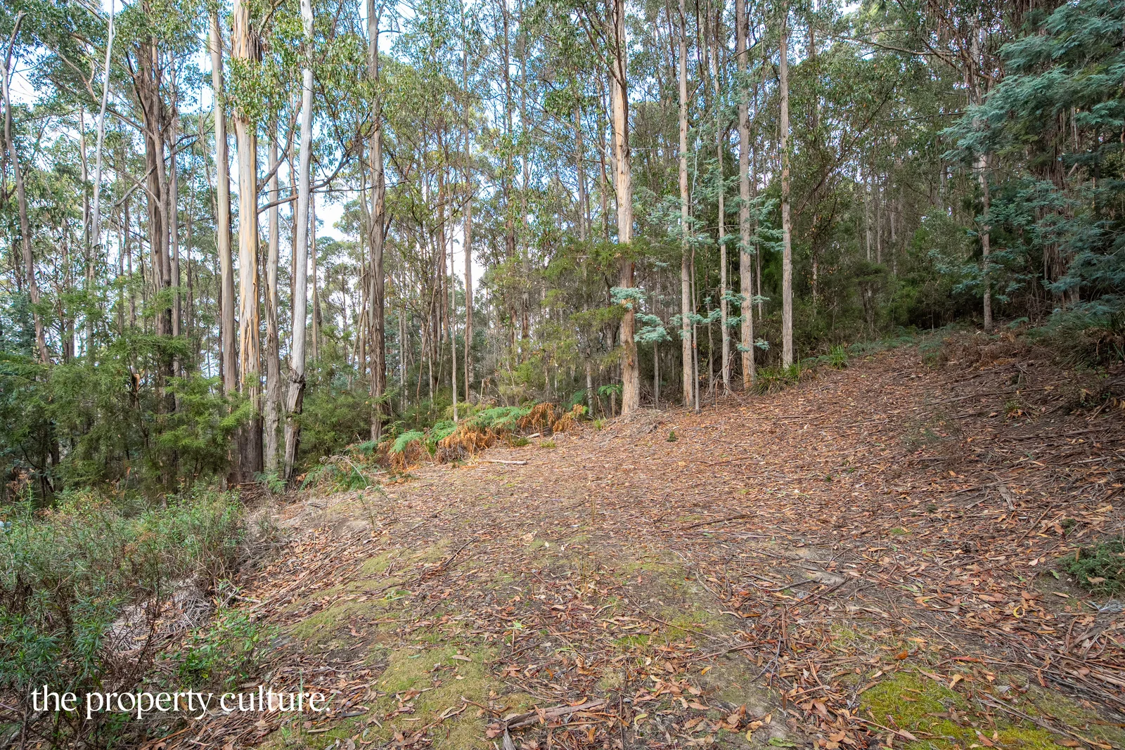 Additional image 8 of 2 Heriots Rise, Franklin TAS 7113