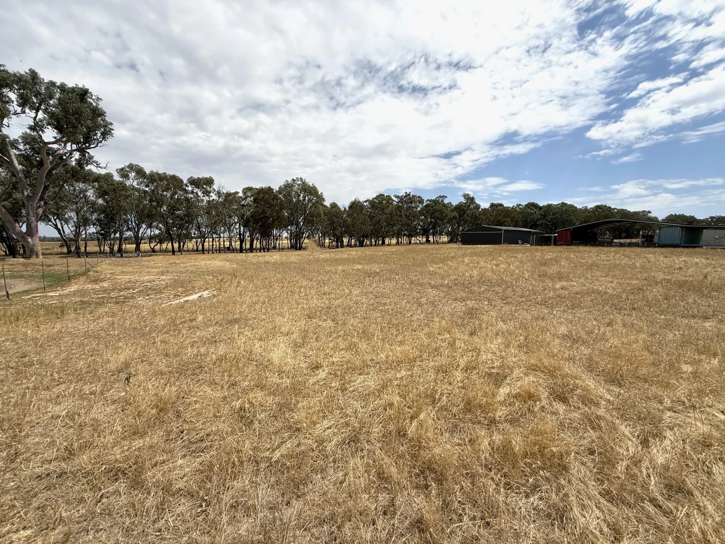 Additional image 4 of 1301 Belowra Road, Murringo Via, Young NSW 2594