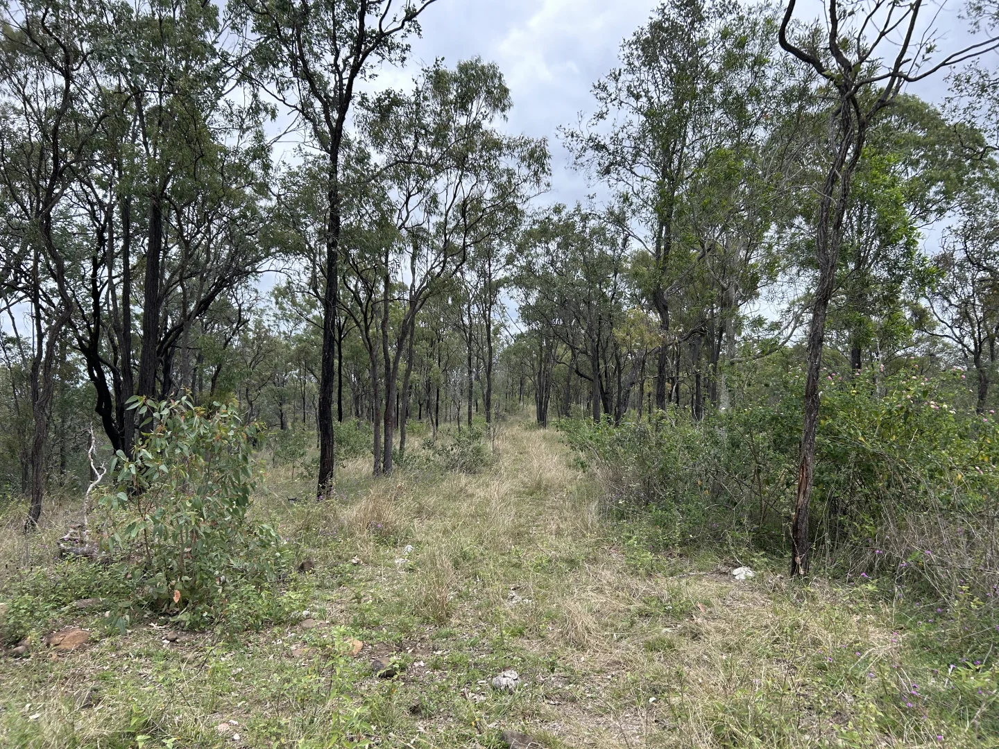 Additional image 22 of 789 Coppin Rd, Monto QLD 4630