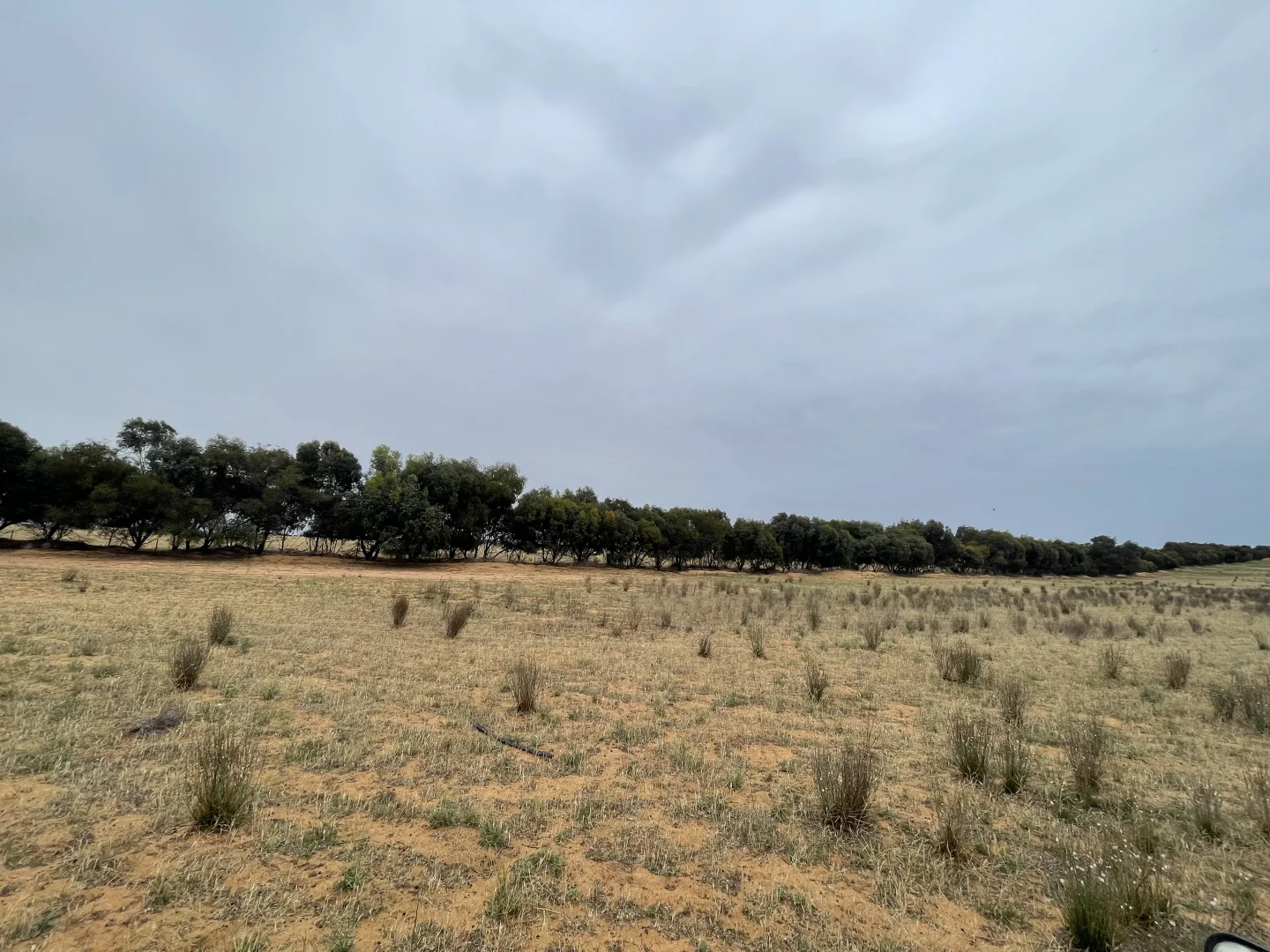 Additional image 12 of 2440 Black Hill Road, Black Hill SA 5353