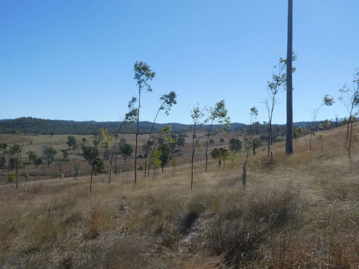 Additional image 17 of 59 Mungy Road, Mungy QLD 4671