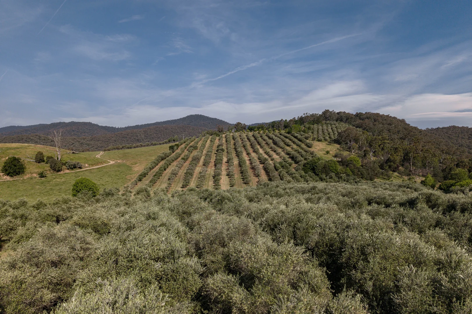 Additional image 16 of 528 Redbank Mongans Road, Mongans Bridge VIC 3691