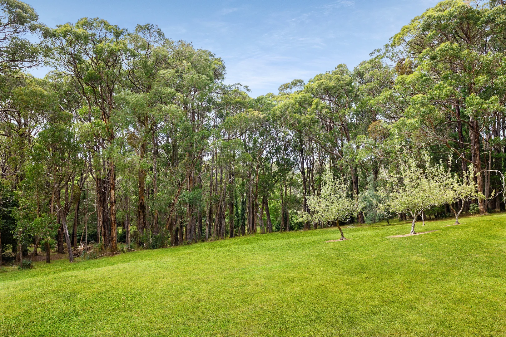 Additional image 14 of 209 Point Leo Road, Red Hill South VIC 3937