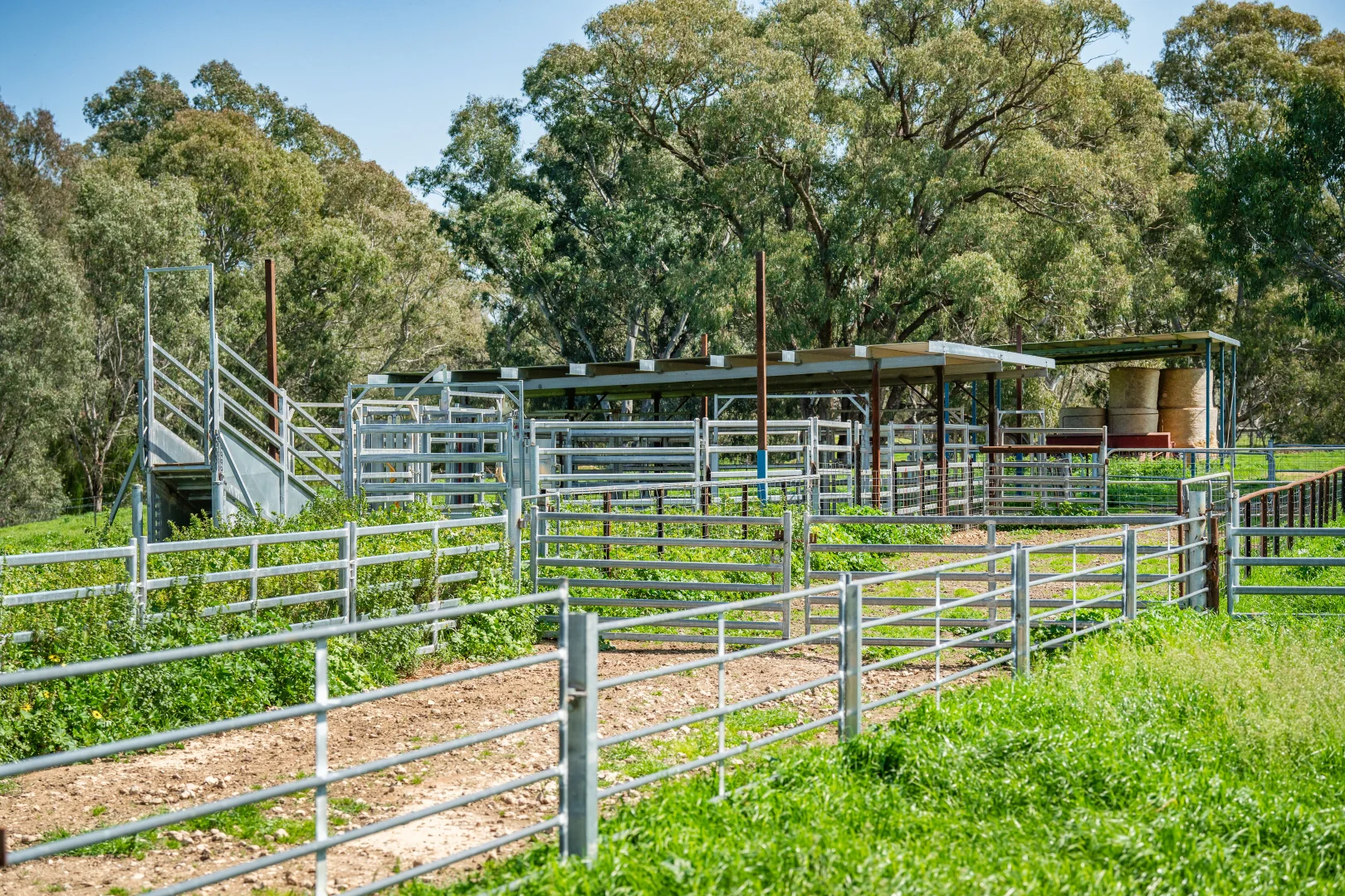 Additional image 9 of 336B Cookinburra Road, Indigo Valley VIC 3688