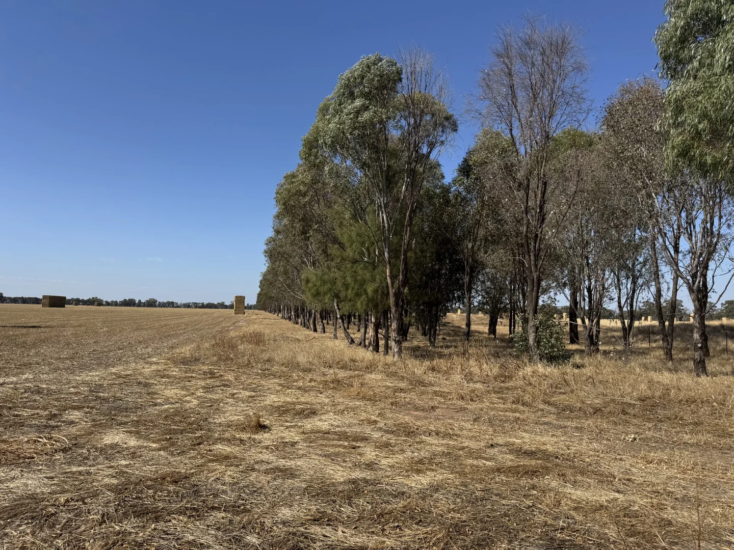 Additional image 17 of CA 60 Federation Way, Springhurst VIC 3682