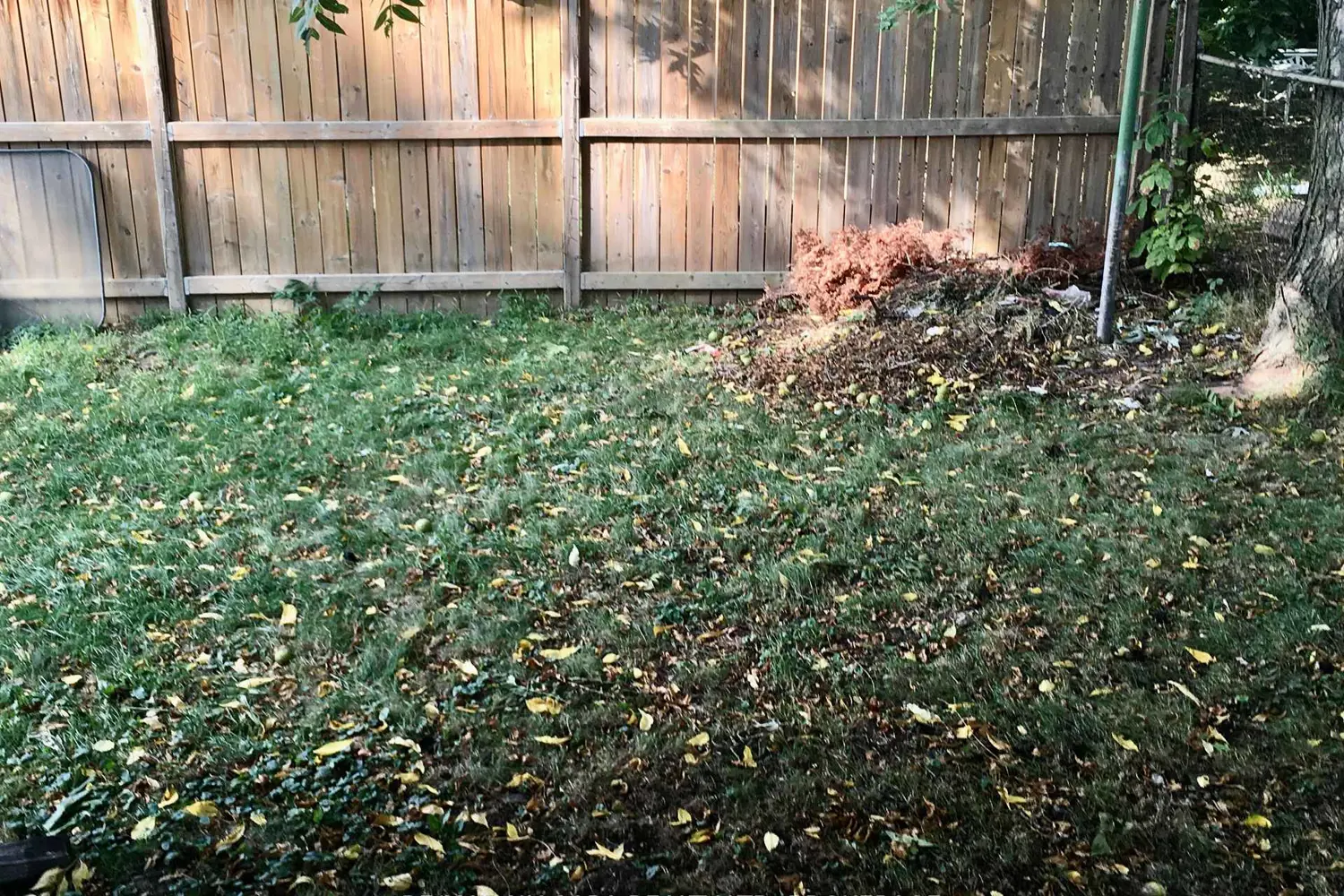 Additional image 10 of 163 Welland Avenue