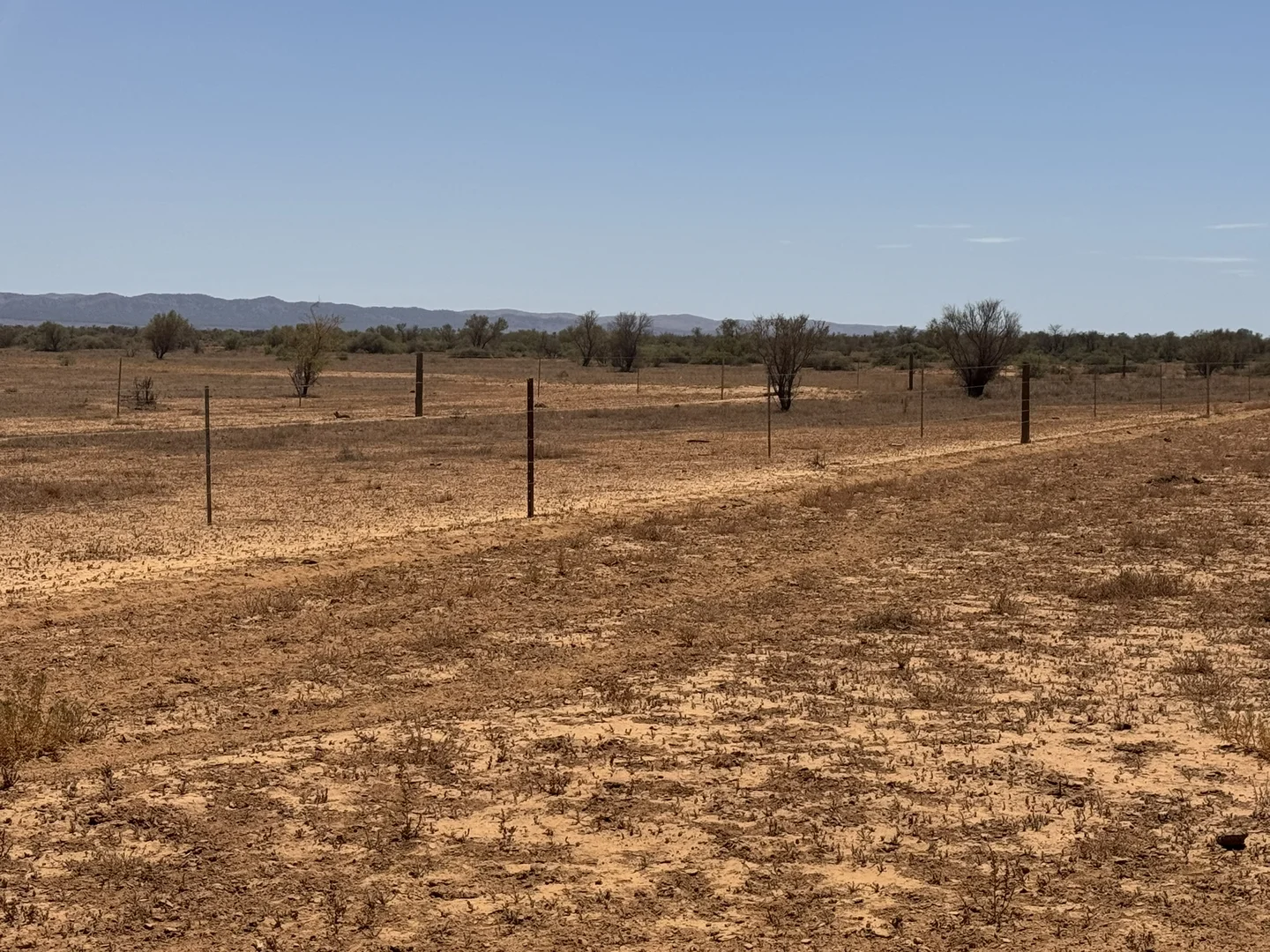 Additional image 18 of Minburra/Lynch Road, Minburra SA 5431
