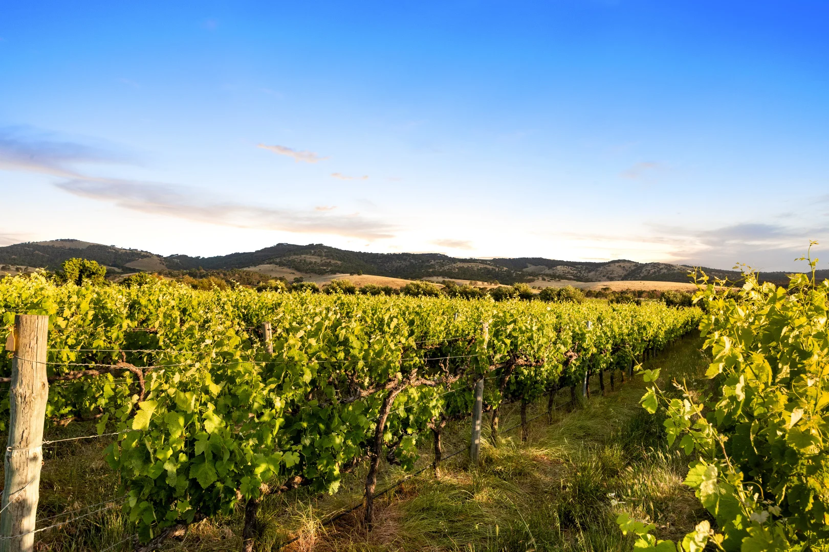 Additional image 3 of 76 Rogers Road, Sellicks Hill SA 5174