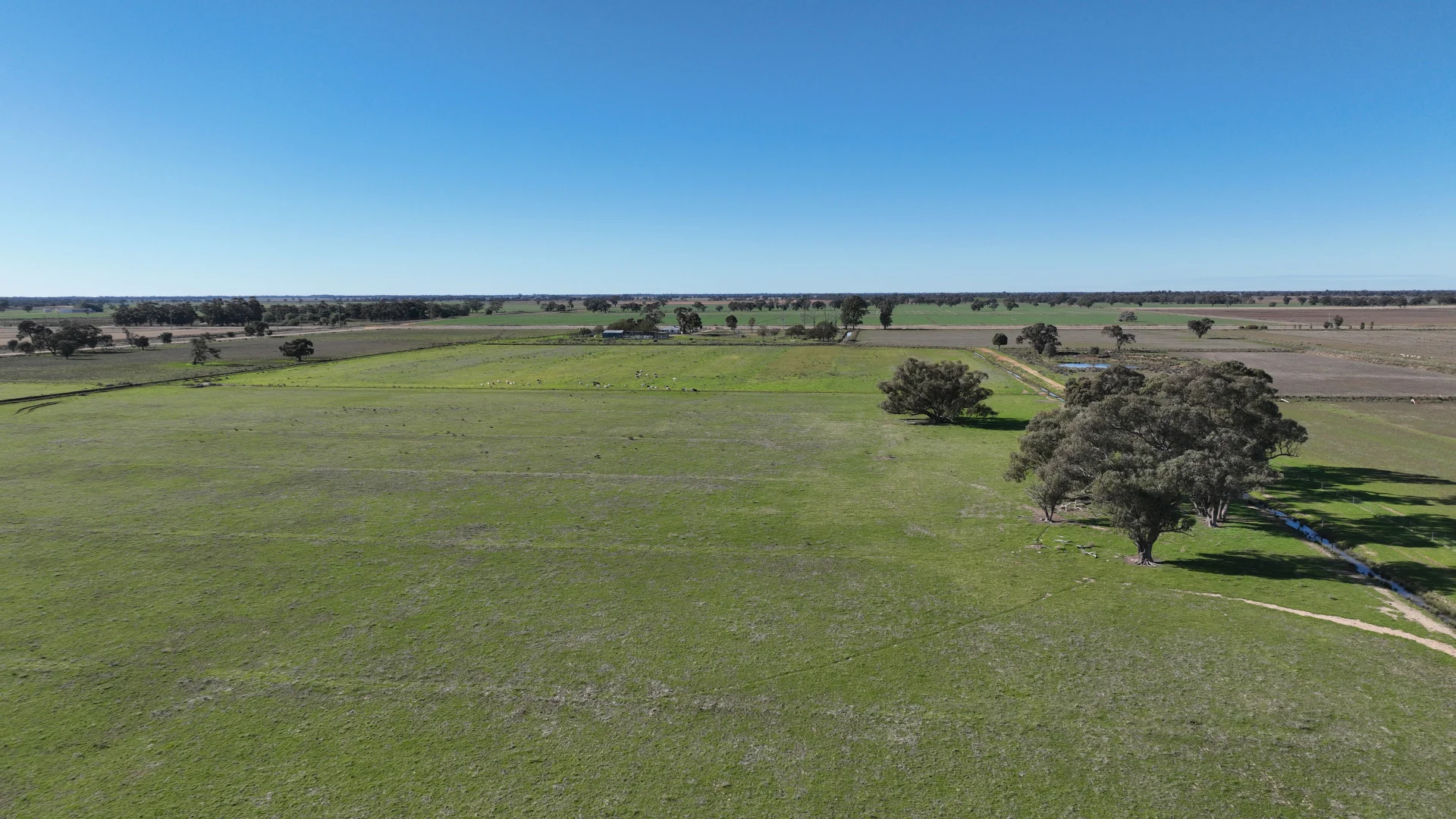 Additional image 46 of Shady Gums Birganbigil Road, Deniliquin NSW 2710