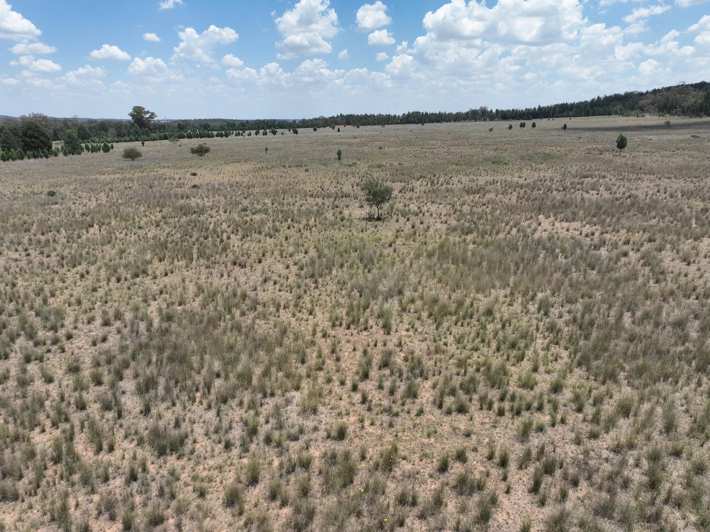 Additional image 12 of 'Illapa' 238L Narromine Road, Dubbo NSW 2830