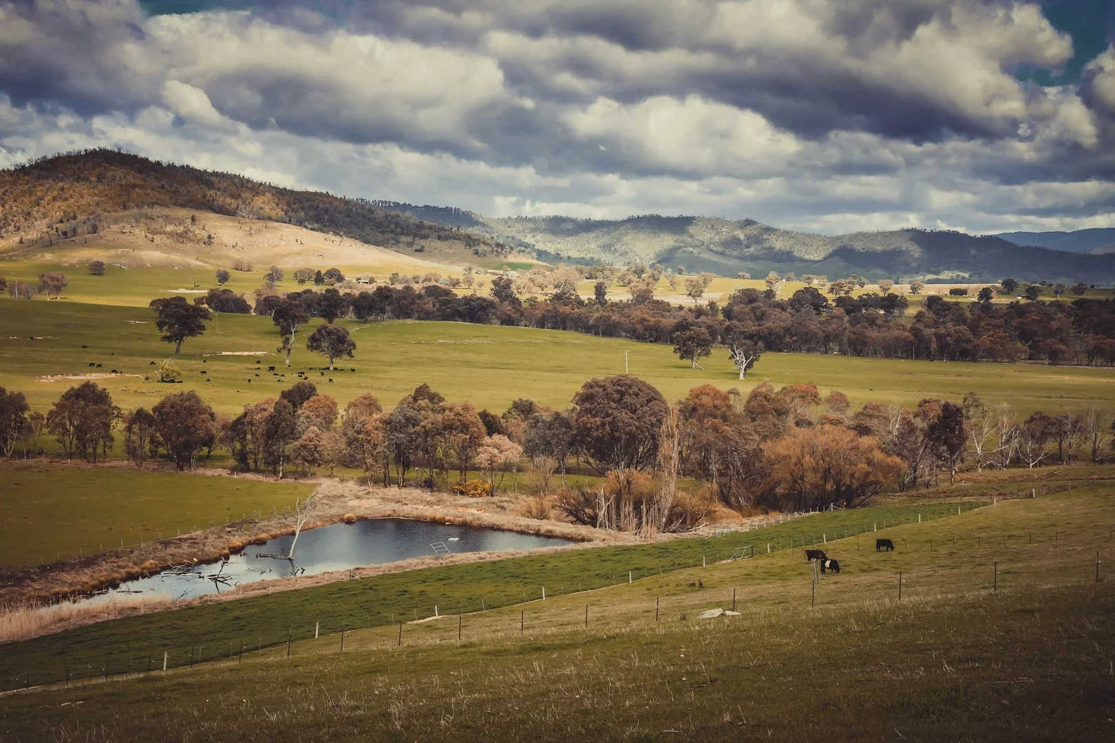 Additional image 2 of 25 Jephcott Avenue, Corryong VIC 3707
