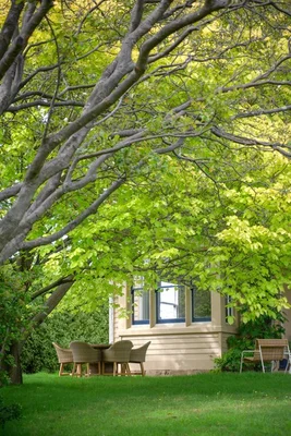 Additional image 32 of 11 Mona Street, Battery Point TAS 7004