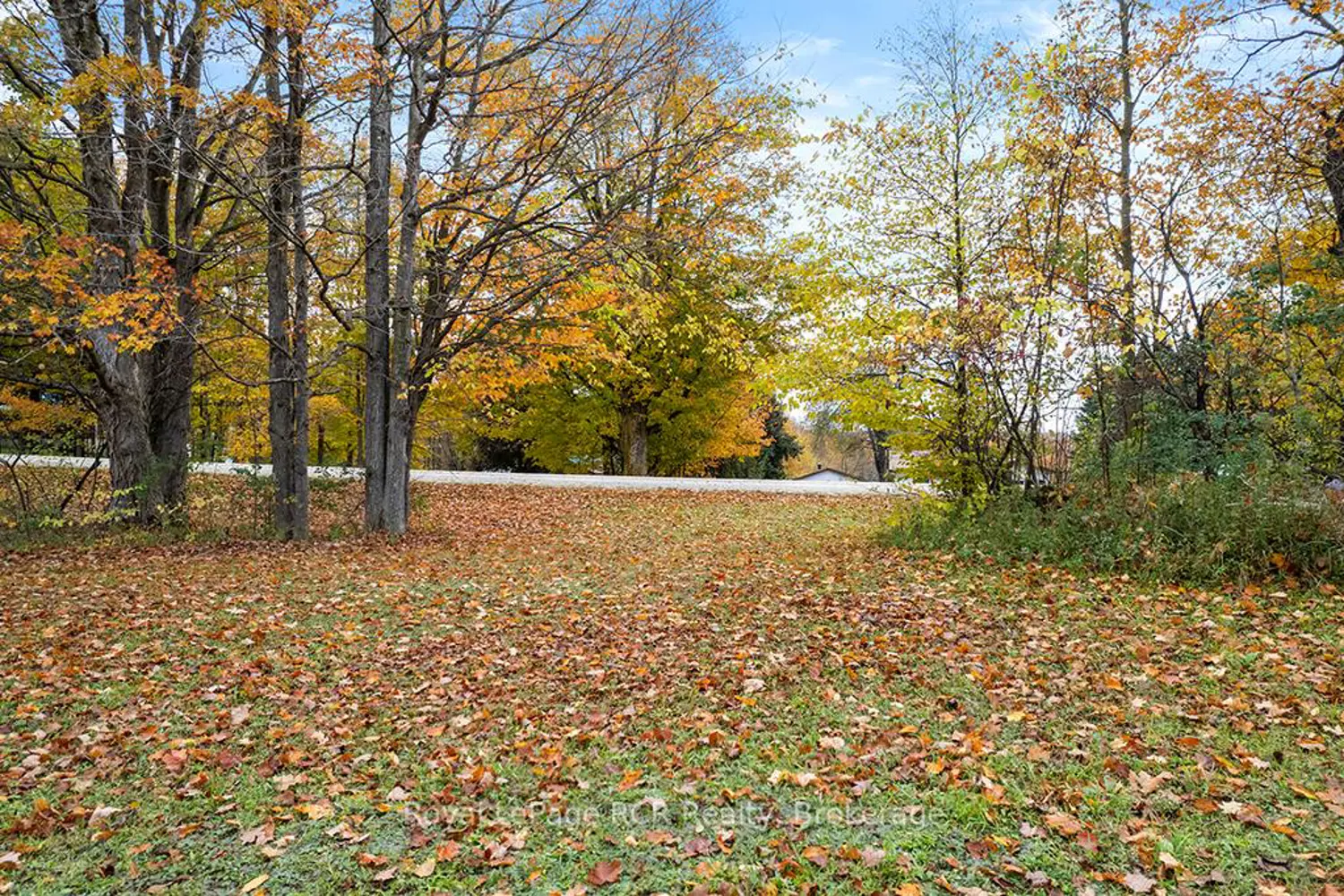 Additional image 8 of 447233 10Th Concession