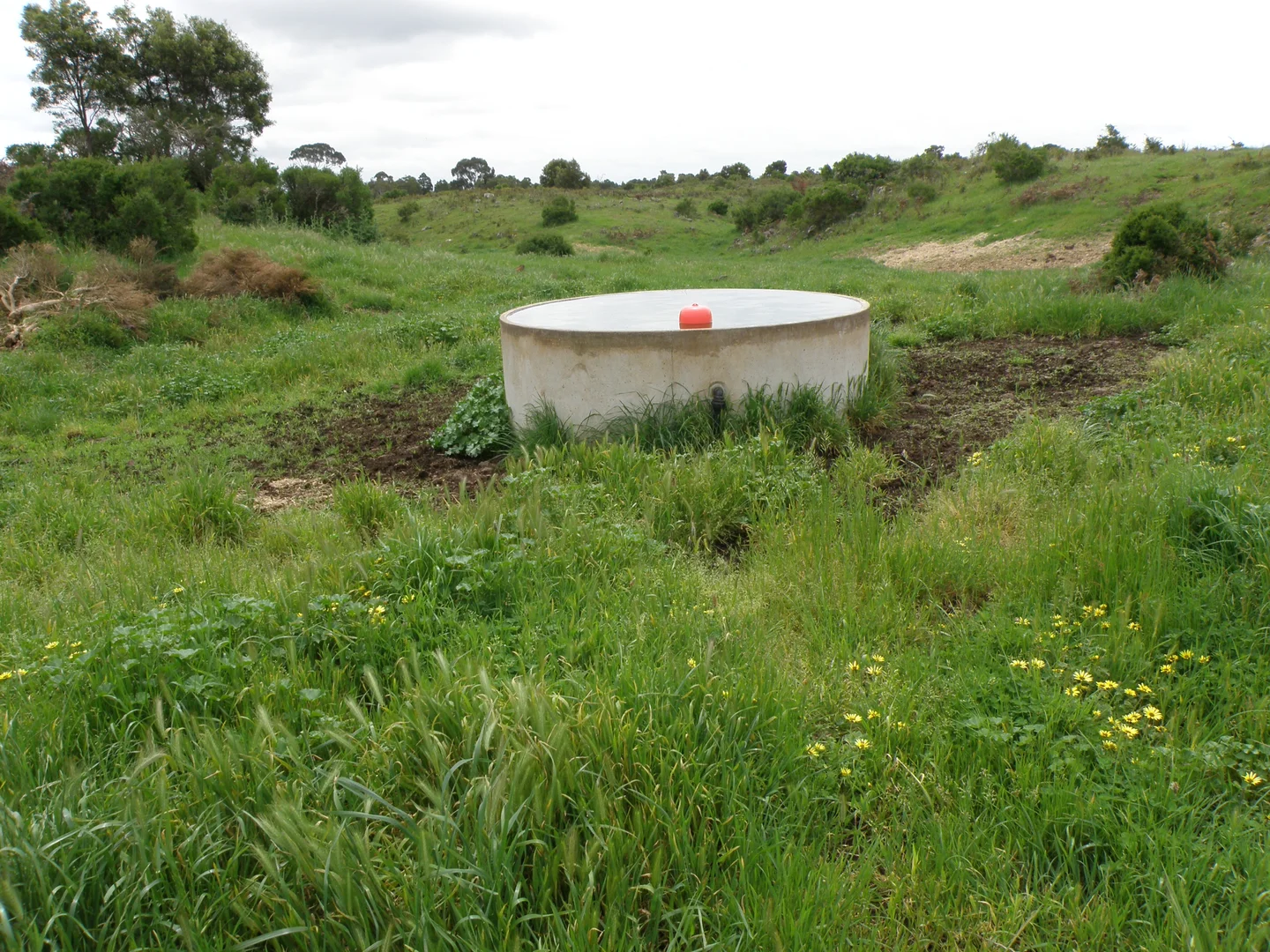 Additional image 13 of 289 Rands Road, Pomborneit North VIC 3260