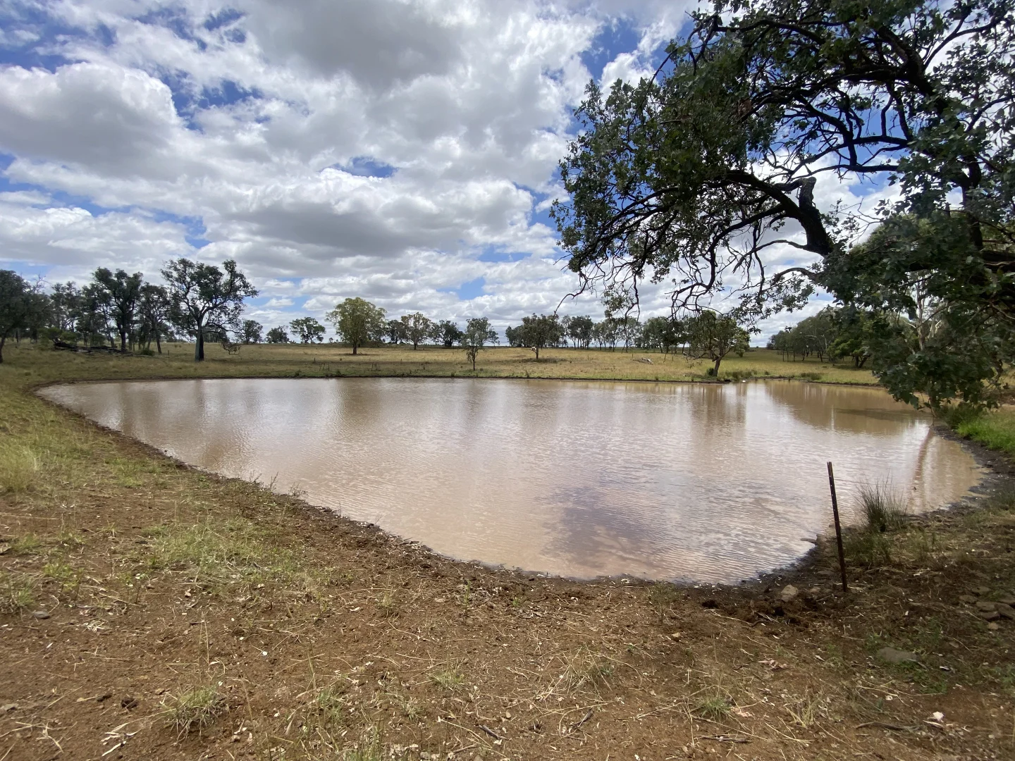 Additional image 8 of Lot 50 Rosenberger Road, Wyreema QLD 4352