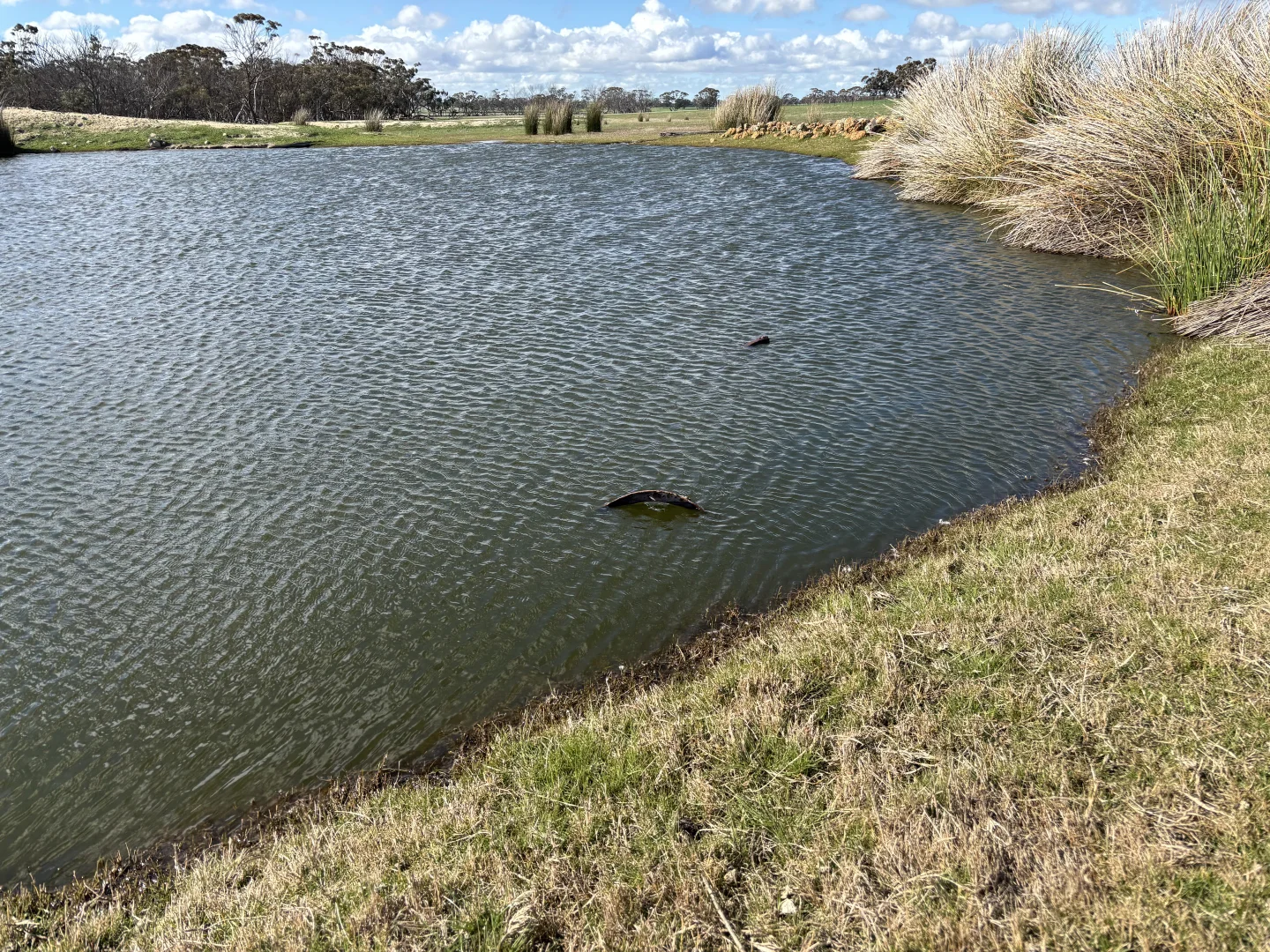 Additional image 5 of . 'Cobbers Soak', Quairading WA 6383