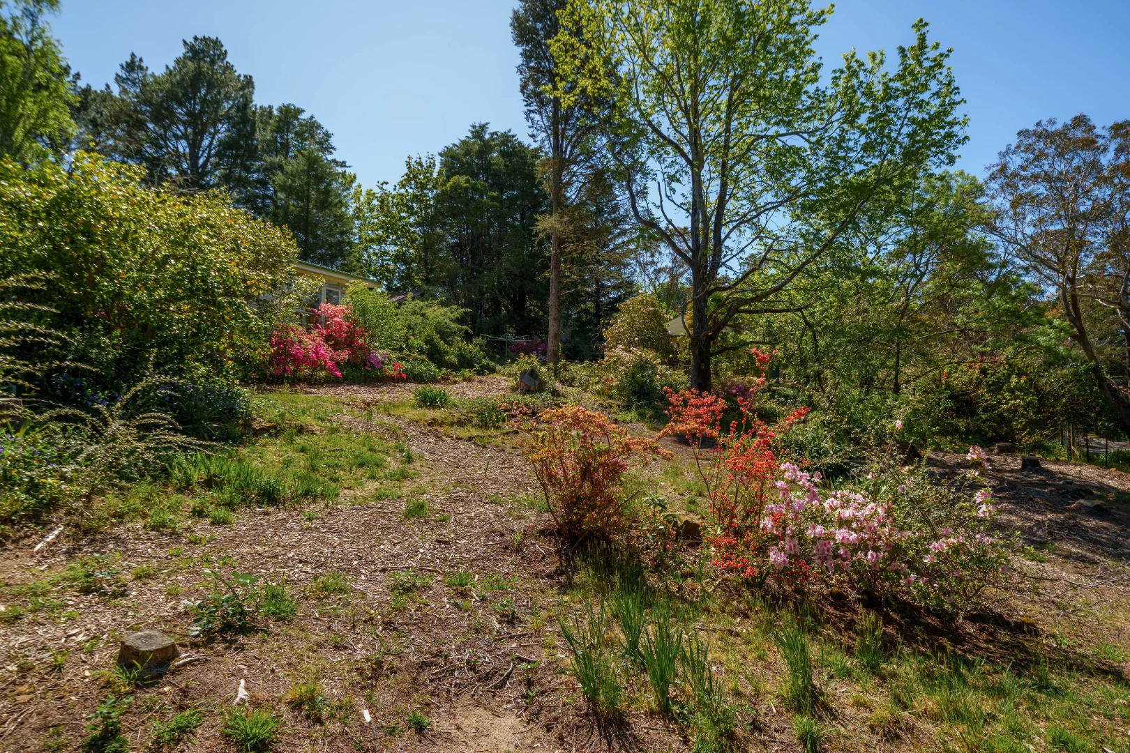 Additional image 3 of 1 Apanie Lane, Wentworth Falls NSW 2782