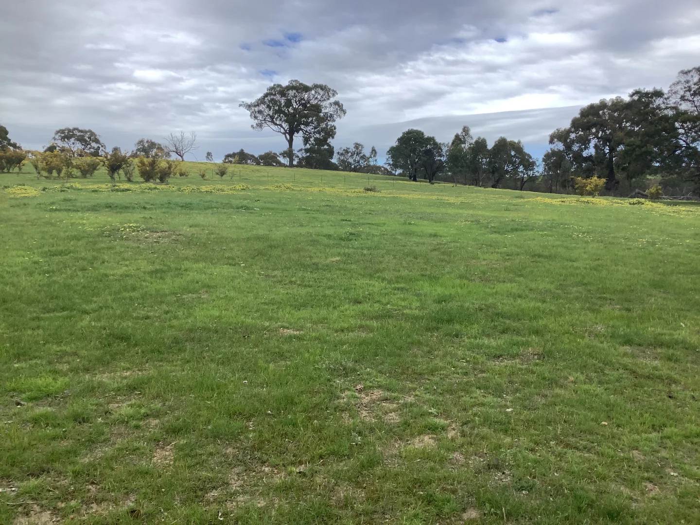 Additional image 2 of 20 Chetwynd Road, Whiteheads Creek VIC 3660