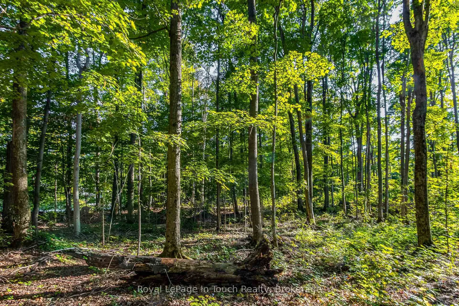 Additional image 7 of Lt 16&17 Nippissing Ridge Road