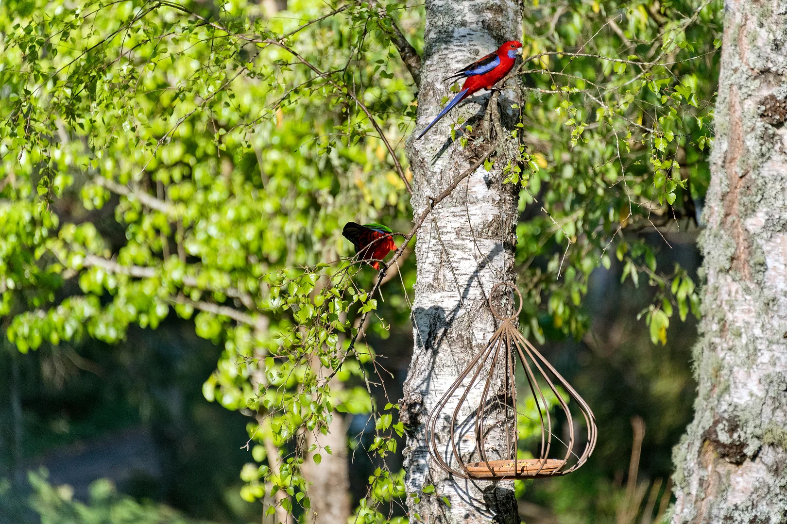 Additional image 22 of 200 Wildes Meadow Road, Wildes Meadow NSW 2577