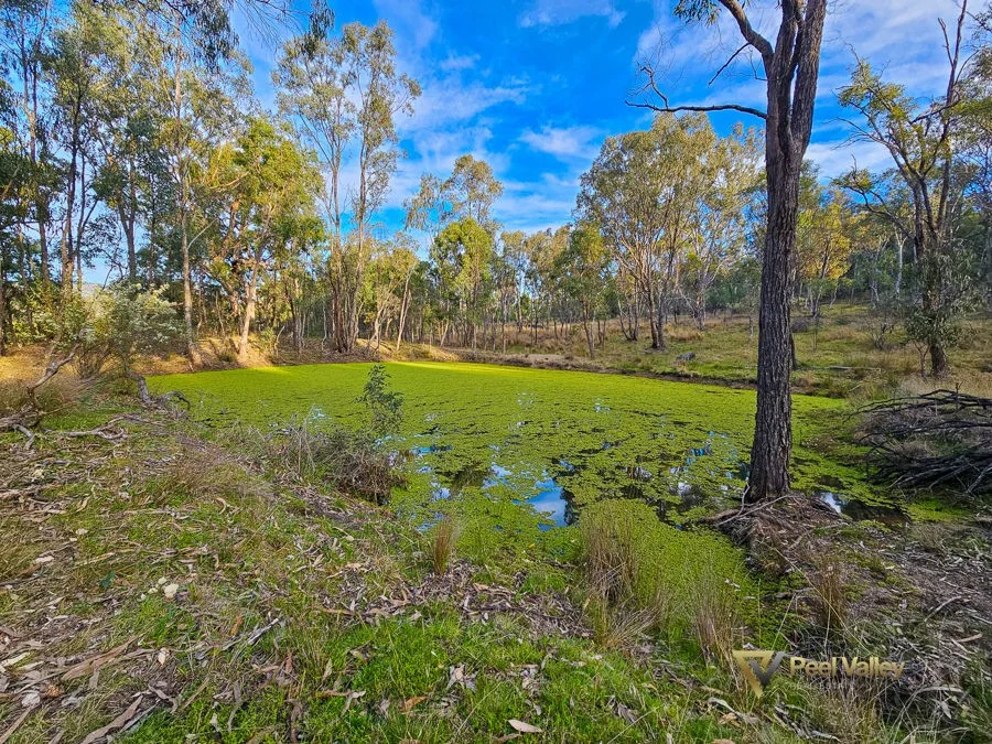 Additional image 25 of 829 New England Gully Road, Moonbi NSW 2353