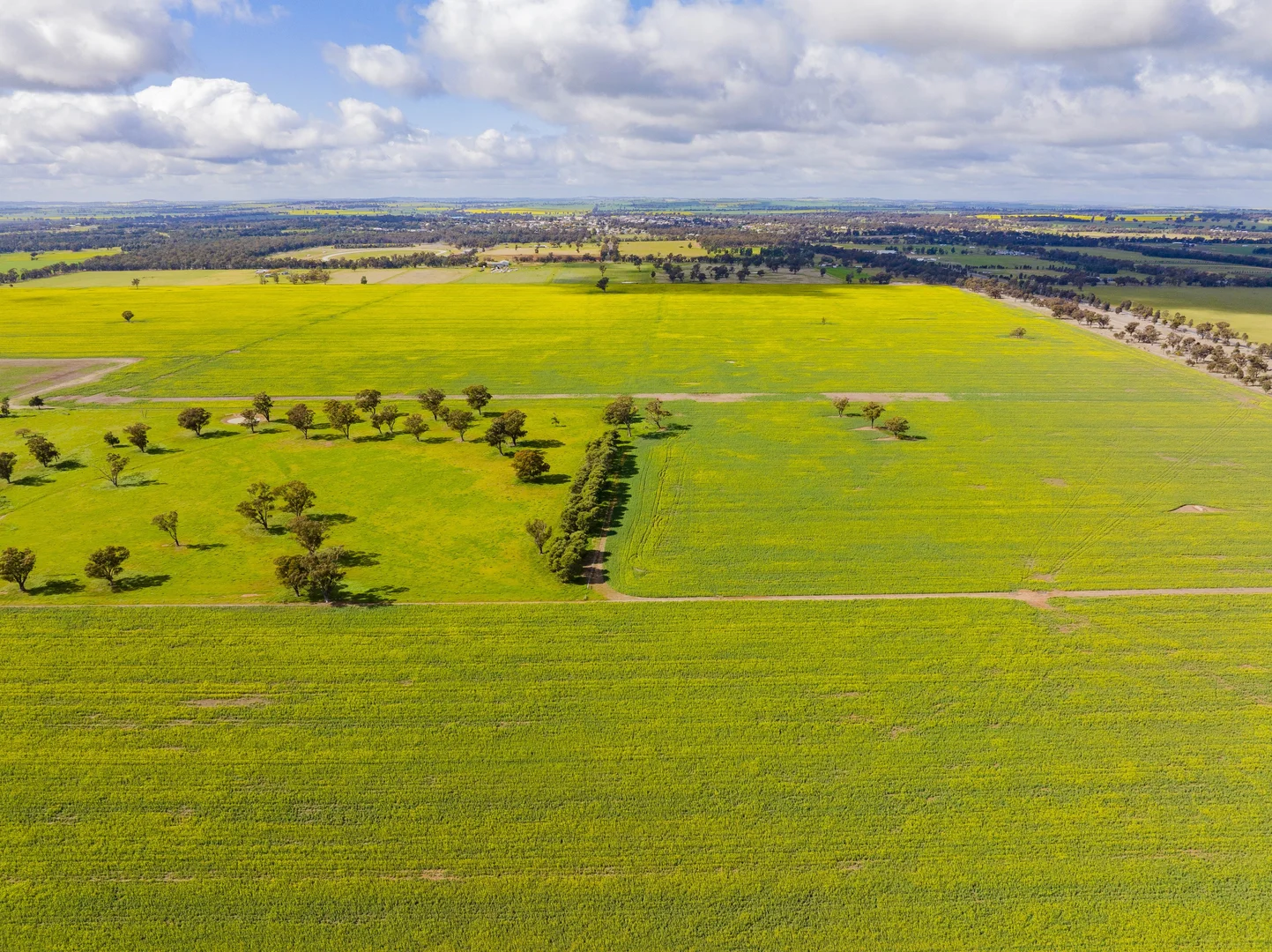 Additional image 5 of Lonsdale Lane, Coolamon NSW 2701