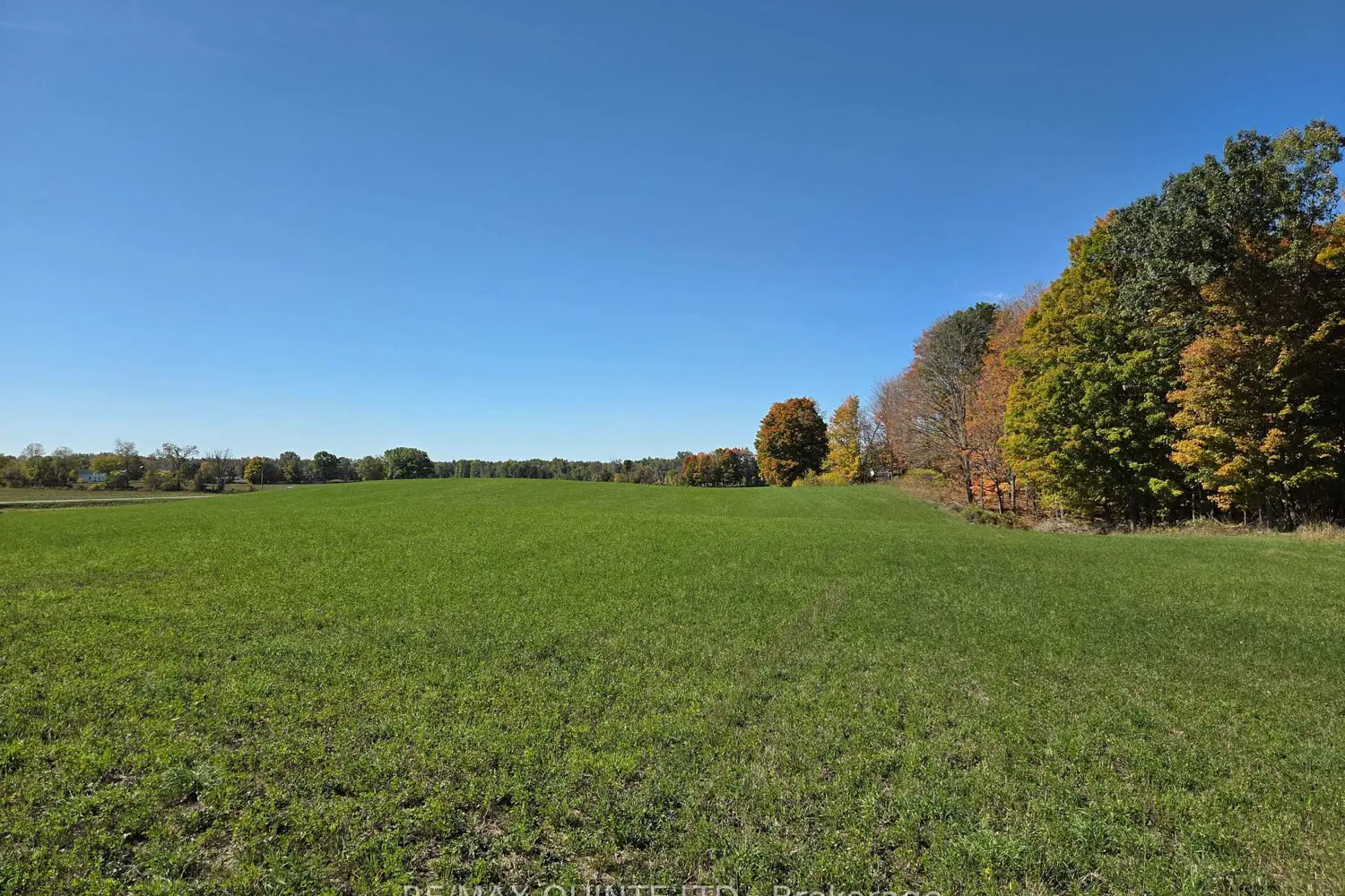 Additional image 17 of 551 Marlbank Road