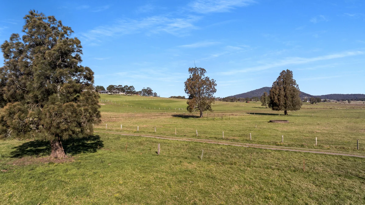 Additional image 8 of 591 Coolangatta Road, Berry NSW 2535