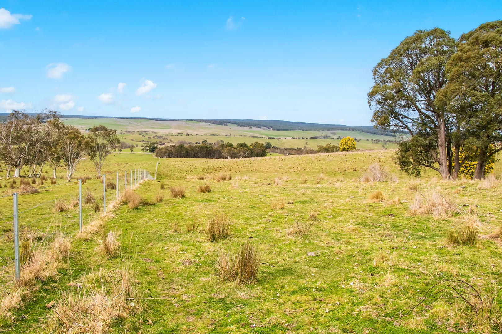 Additional image 36 of 171 Big Flat Road, Bombala NSW 2632
