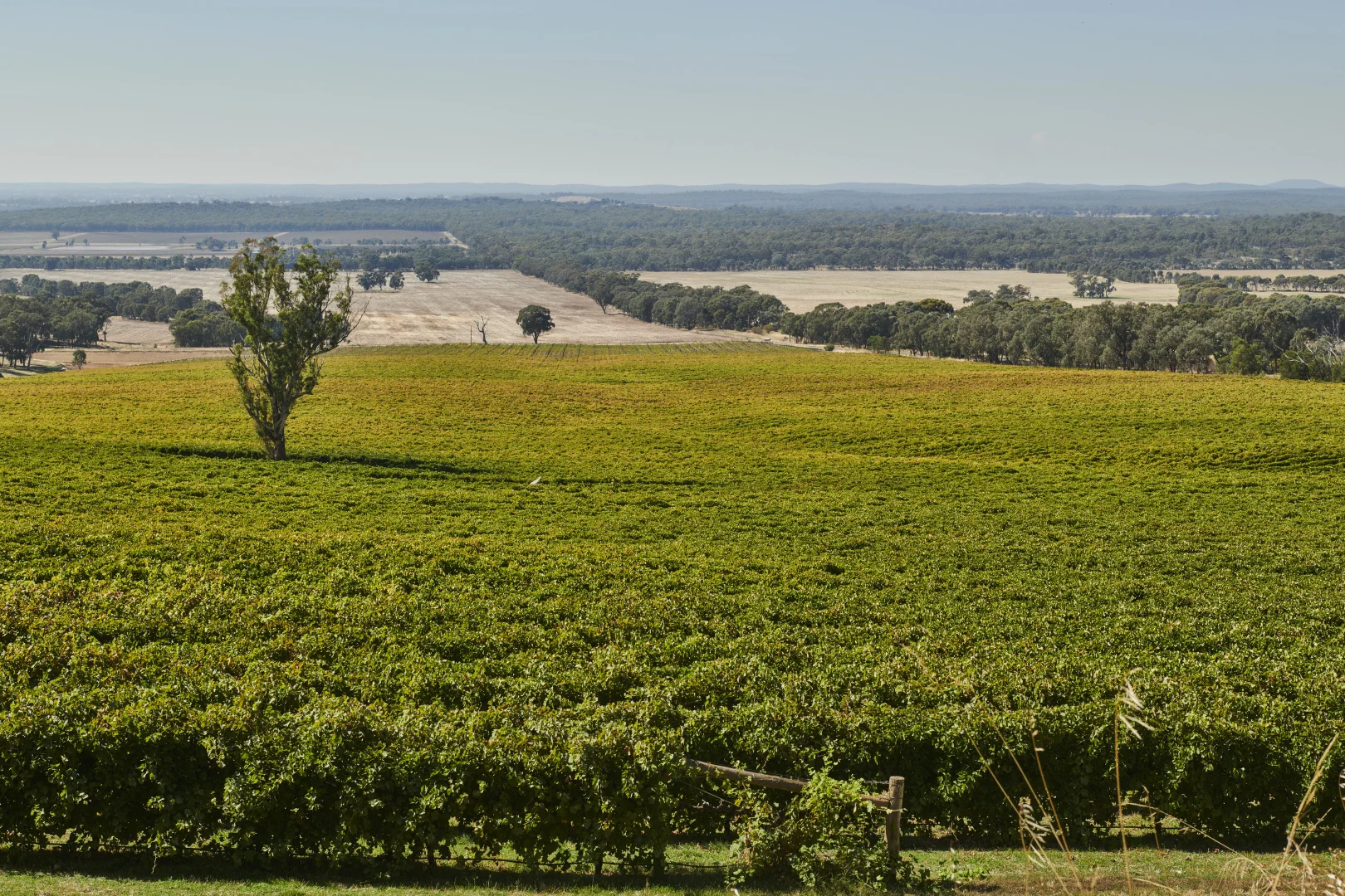 Additional image 24 of 83 Bennett Street, Heathcote VIC 3523